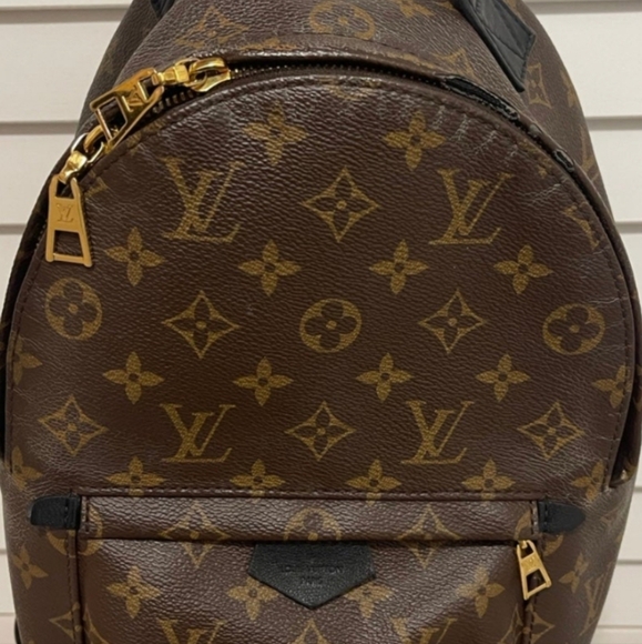Louis Vuitton Palm Springs PM - Picture 7 of 13